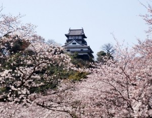 犬山ホテル　庭園から見る桜景色るるぶ (2)